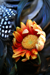 Flowers Set 08 - 10