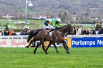 240126-Race 5-Spillanes Tower-7161