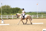 SBM_009066