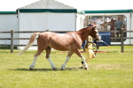 SBM_13632