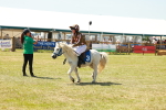 SBM_17337
