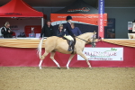 SBM_09637