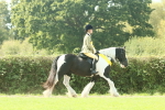 SBM_68992