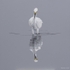 Garça-branca-pequena II / Snowy egret II