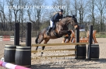 8TH APRIL 2024 - TUES Senior British Show Jumping Cat 2 - MUIRMILL EC portfolio