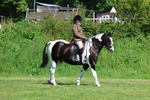 3E7A8628