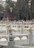 Beijing Lama  Confucius Temples 12jpg