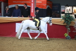 SBM_10577