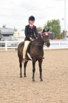 Class 311 - Ridden Show pony-Show hunter Pony portfolio