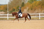 SBM_010515