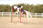SBM_003973