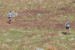 Black Combe-537