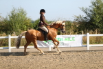 SBM_01267