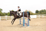 Show Jumping - 15-8-26 portfolio