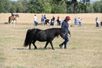 WJ6_4180