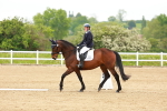 SBM_005037