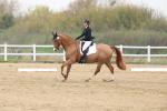 SBM_006769