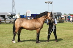 SBM_02306