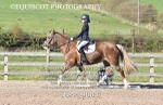 BPP_9083
