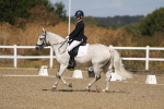 SBM_013564