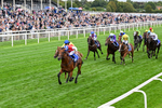 210826-Race 1-Blue Courvoisier-0082