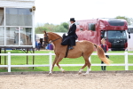 SBM_03330