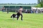 SBM_03497