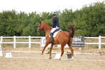 SBM_007539