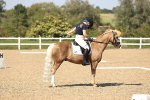 SBM_010291