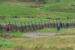 Langdale-1315