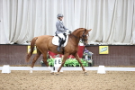 SBM_019617
