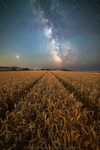 ab497 Field of dreams