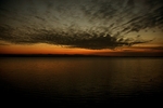Last Shot of 2008