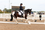 SBM_02032