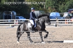 BPP_9135