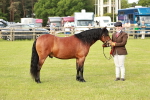 SBM_00538