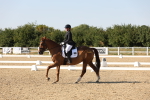 SBM_006885