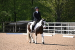 WJ6_7891