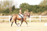 SBM_009789