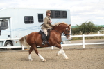 SBM_14621