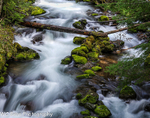 Rushing Stream
