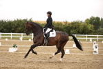 SBM_006905
