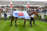 290723-Race 2-Aberama Gold-0205