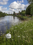 Worcester Birmingham Canal portfolio