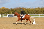 SBM_000959