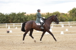 SBM_005653