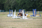 WJ6_8425