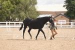 SBM_04934