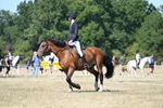 WJ7_0411