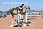 BPP_1493